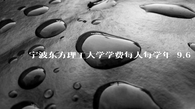 宁波东方理工大学学费每人每学年 9.6 万，为什么会这么贵？