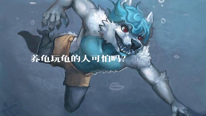 养龟玩龟的人可怕吗？