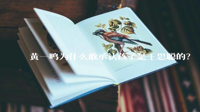 黄一鸣为什么敢承认孩子是王思聪的？