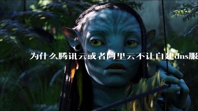 为什么腾讯云或者阿里云不让自建dns服务器?