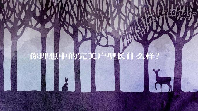 你理想中的完美户型长什么样？