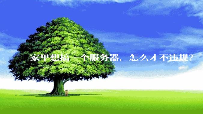 家里想搞一个服务器，怎么才不违规？
