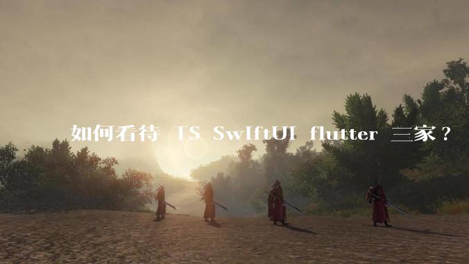 如何看待 TS SwiftUI flutter 三家?