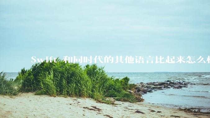 Swift 和同时代的其他语言比起来怎么样？
