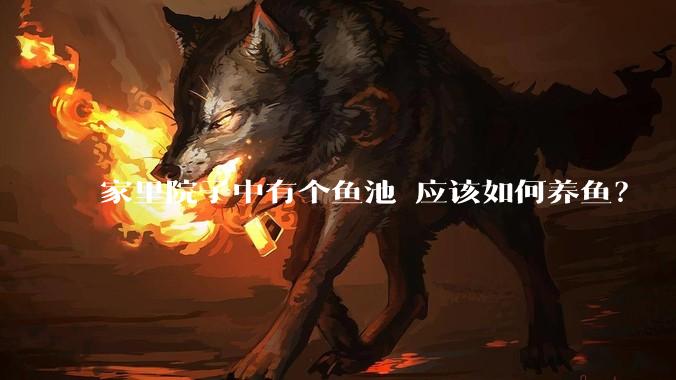 家里院子中有个鱼池 应该如何养鱼？